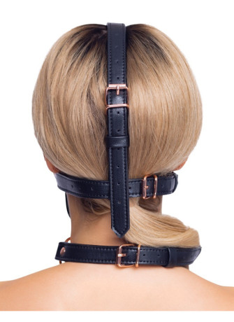 head harness with a gag